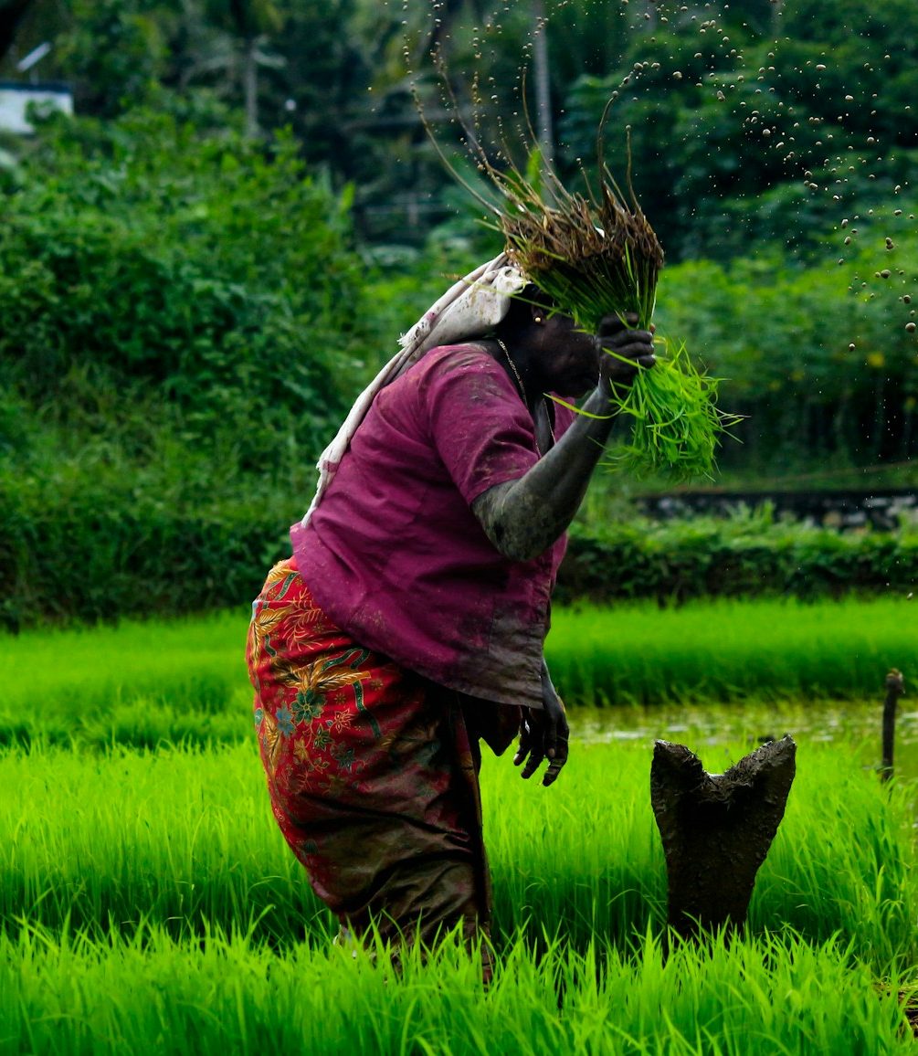 Farming Techniques